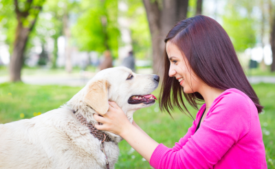 Animal Care: Dog Whispering & Pet Nutrition