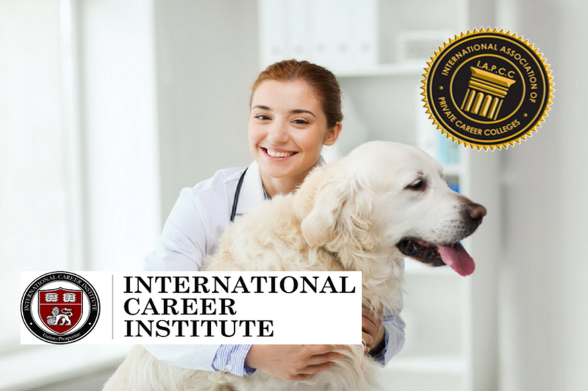 IAPCC Accredited Pet Care & Veterinary Assistant Diploma 