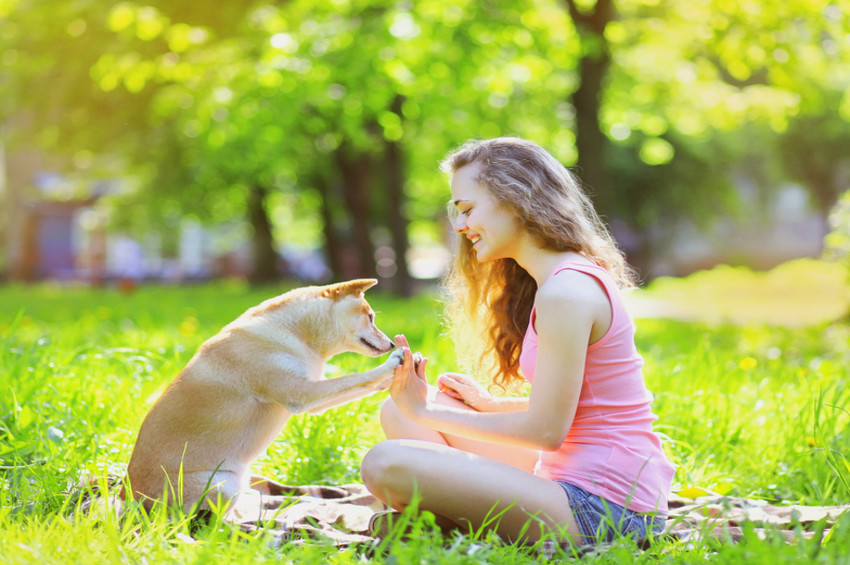 Animal Behaviour: Obedience & Health