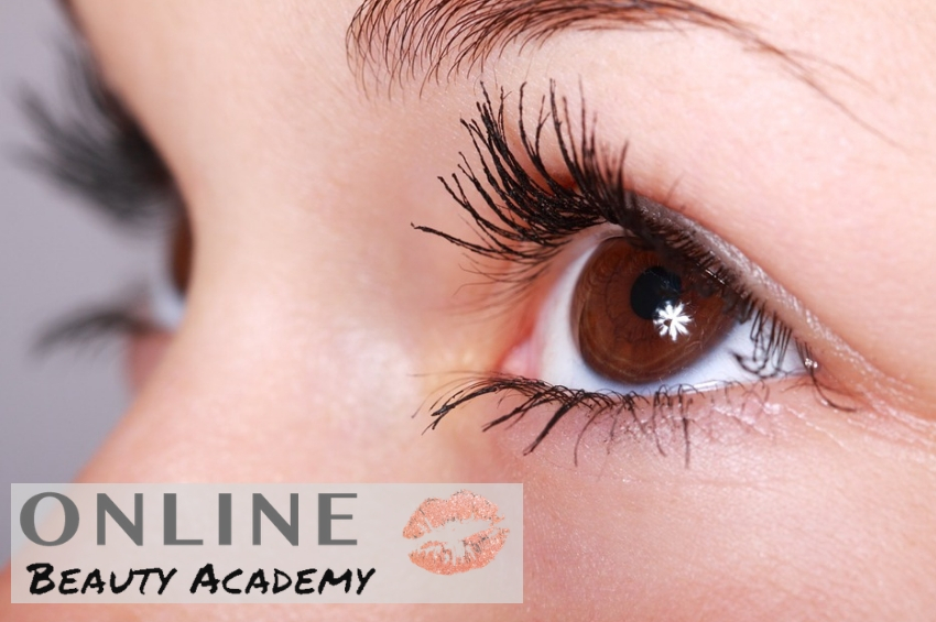 Certified Lash Lift Course